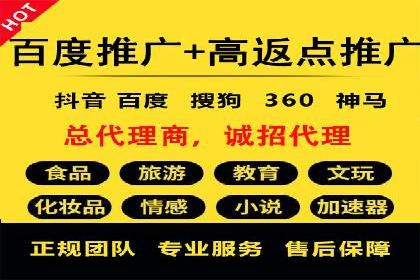 百度联盟推广网络覆盖的案例研究